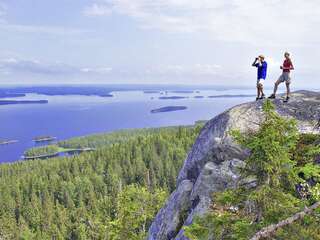 Фото Шале Chalet Likojärvi г. Hauhola